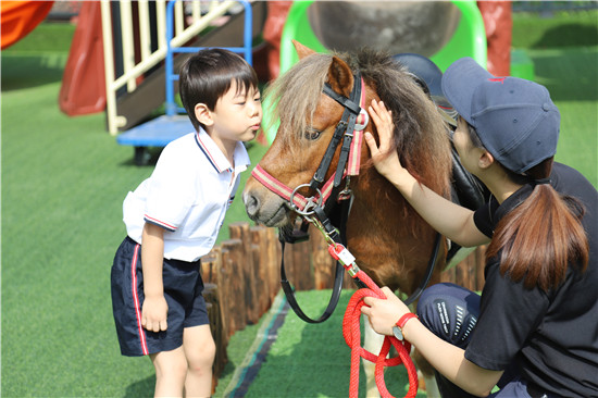 枫叶幼儿园“特色骑行”安全教育课堂